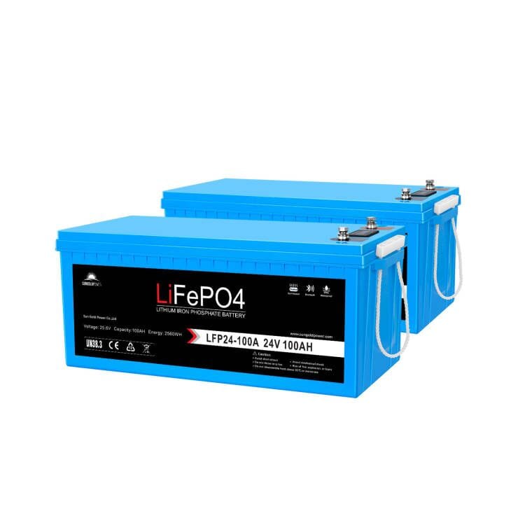 2 X 24V 100Ah LiFePo4 Deep Cycle Lithium Battery Bluetooth / Self-Heating / IP65 SunGoldPower Battery