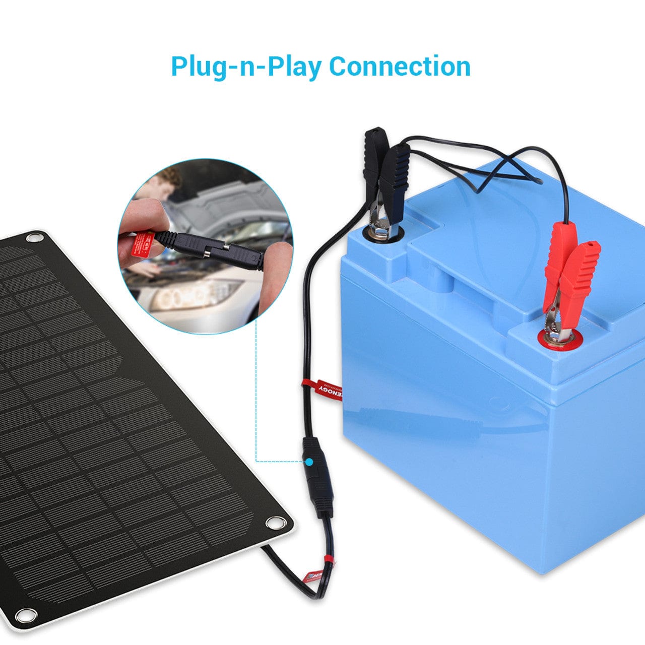 Renogy 10W Solar Battery Charger and Maintainer Renogy Batteries