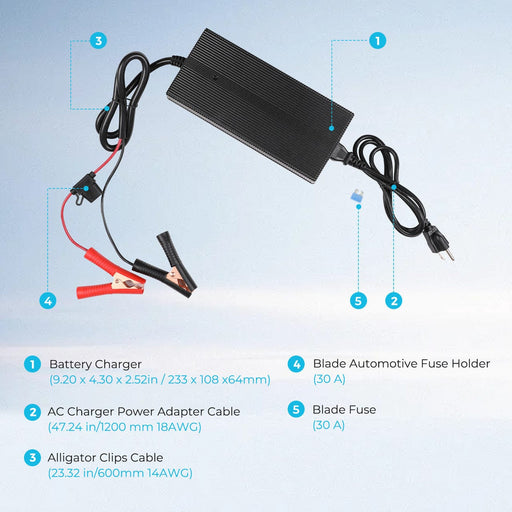 Renogy 12V 20A AC-to-DC LFP Portable Battery Charger Renogy Batteries