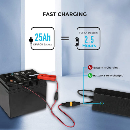 Renogy 24V 10A AC-to-DC LFP Portable Battery Charger Renogy Batteries