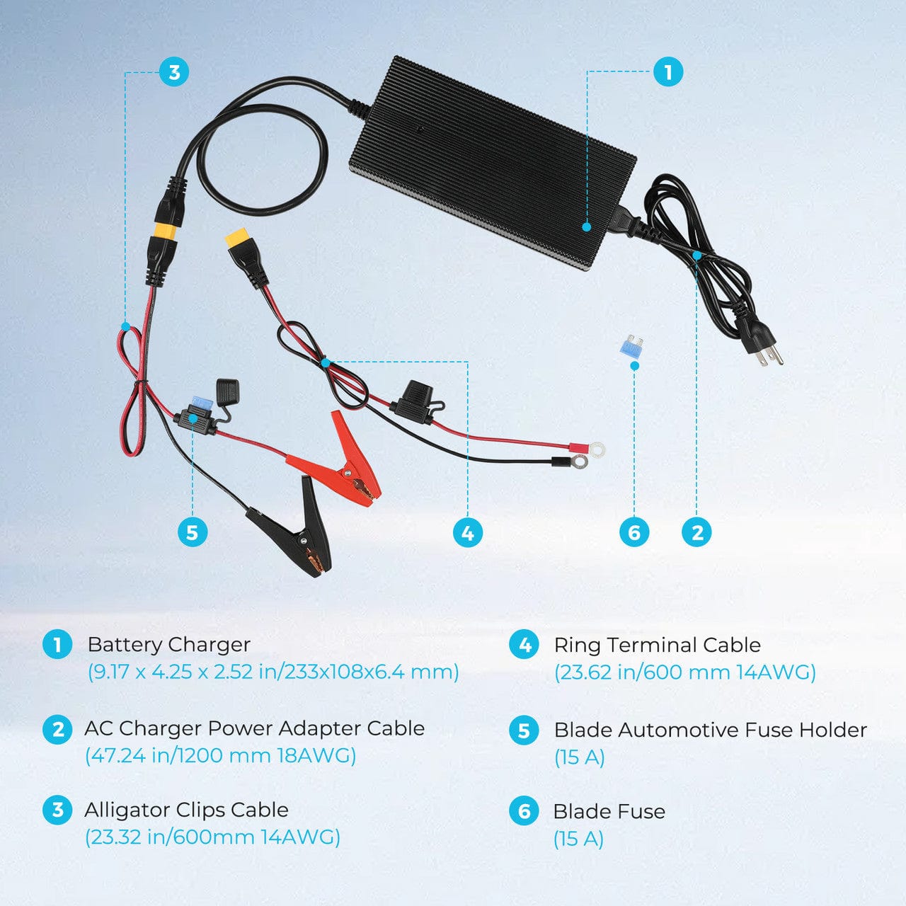 Renogy 24V 10A AC-to-DC LFP Portable Battery Charger Renogy Batteries